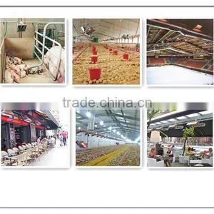 Flameless Gas Chicken Infrared Brooder (HD2606) thumbnail-5