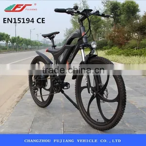 350w Green City Electric Bike in the Philippines thumbnail-2