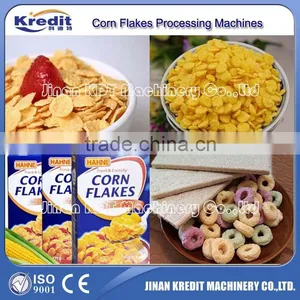 Corn Flakes Processing Line thumbnail-1
