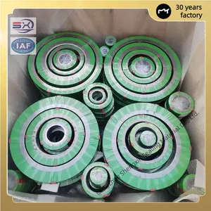 Wear-Resistant and Corrosion-Resistant Sealing Gasket SS304 Metal Graphite Spiral Wound Gasket thumbnail-1