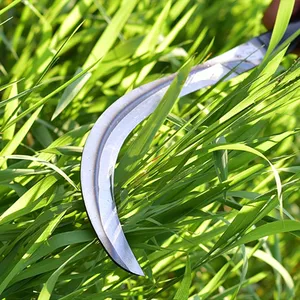 Sharp Carbon Steel Agricultural Sickle for Rice Wheat Grass Cutting and Field Harvesting Work thumbnail-3