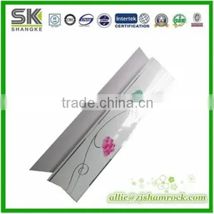 PVC Accessories /PVC Clips of PVC Ceiling for Decoration thumbnail-1