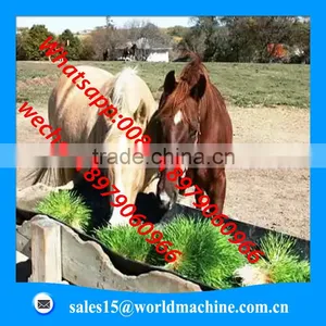 Export to Saudi Arabia Hydroponic Animal Fodder Controller for Growing Fodder Grass,barley,wheat,and All Kinds Vegetables thumbnail-2