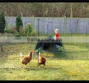Chicken Plastic Extruded Netting/Poultry Netting thumbnail-1