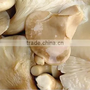 Canned Mushroom Canned Abalone Mushroom thumbnail-2