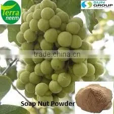 Pure and Natural Soapnut Powder thumbnail-6