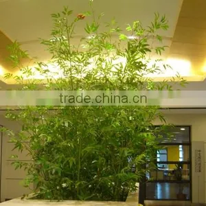 High Simulation Indoor Decor Artificial Bamboo thumbnail-1