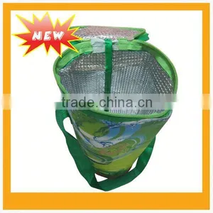 Non Woven Cooler Bag thumbnail-1
