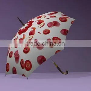 Tyvek Umbrella thumbnail-1