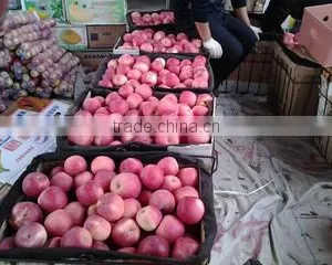 Lixian Richshine Fruits & Vegetables Co., Ltd. company overview - view 1 thumbnail