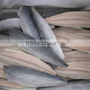 Spanish Mackerel Fillet thumbnail-2