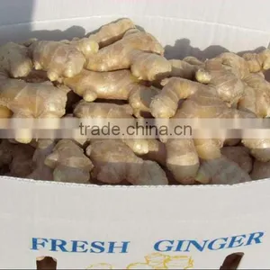 Bulk Fresh Ginger in Carton Package thumbnail-3