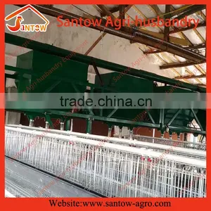 Battery Pullet Rearing Cage Poultry Equipment thumbnail-1