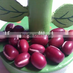 Adzuki Bean thumbnail-1
