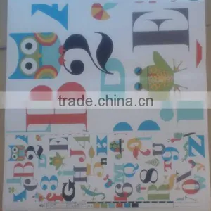 PVC Sheet for Raincoat Plastic Raincoat thumbnail-3