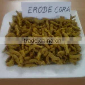 Excellent Grade & Quality Indian Turmeric Finger thumbnail-3
