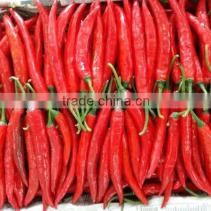 DALAT FRESH RED CHIILI thumbnail-1
