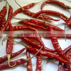 Dry Red Chili Sannam thumbnail-4