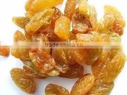 Fresh Golden Raisin thumbnail-5