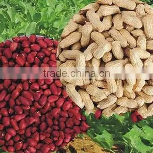 Agricultural Health Snack Food Dry Roasted Peanuts/red Skin Peanut Kernels Dry Roasted Peanuts/red Skin Peanut Kernels thumbnail-3