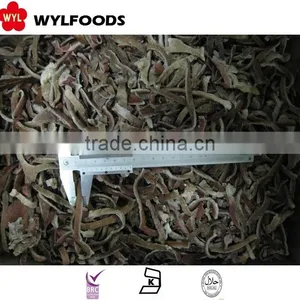 IQF High Quality Frozen Black Fungus Hot Sales thumbnail-1