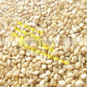 Supermicro Mill Sesame Paste Making Machine / Sesame Butter Making Machine thumbnail-5