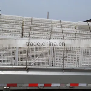 Plastic Poultry Transport Crate/box/coop/cage thumbnail-4