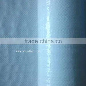 High Quality Raw Material Polyethylene Woven Fabric thumbnail-6