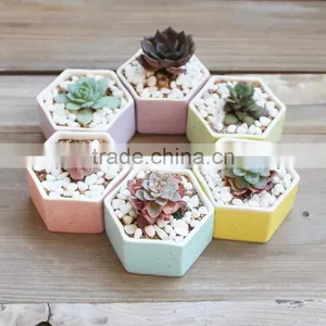 Hot Sale Rainbow Hexagon Flower Pot Ceramic for Planter thumbnail-1