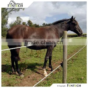 High Quality Fentech Electric Fence Horses Used thumbnail-3