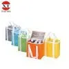 Wine Bottle Bag/ Cool Bag (FLY3031-MB) thumbnail-1