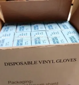 Disposable Vinyl Gloves thumbnail-3