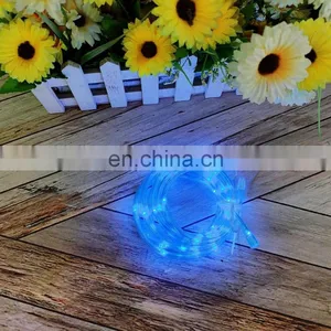 Hot Sales Holiday Decorative 2M Transparent Tube 20L Copper Wire String Lights For Outdoor Decoration thumbnail-4