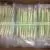 Frozen Vietnam Lemongrass With High Quality thumbnail-1