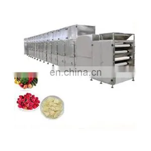 Fruit and Food Microwave Tunnel Dryer/Dehydrator and Sterilizer Machine thumbnail-1