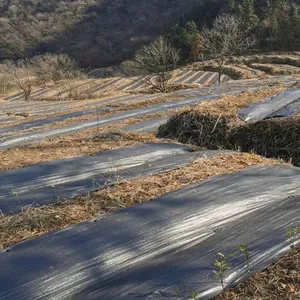 Original Manufacturer of Orchard Weed Control Fabric and Agricultural Weed Barrier Fabric Exporter for Foreign Trade thumbnail-2