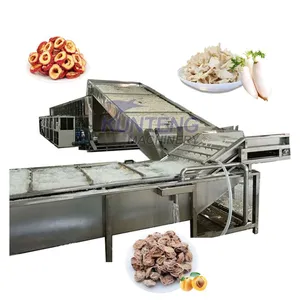 Fully Automatic Mango Papaya Palm Date Curcuma Almond Apricots Washing Drying and Packing Machine Production Line EPC thumbnail-1
