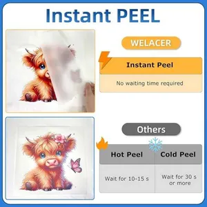 DTF Transfer Film Roll for Double-Side Matte Clear Pretreat Sheets PET Heat Transfer Paper for Inkjet Printer Direct Print on T Shirts Textile thumbnail-3