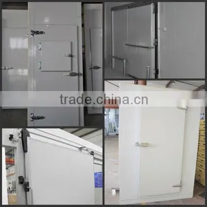 PUR Panel Hinged Freezer Door With Double-leafed for Cold Room Quality Choice thumbnail-1