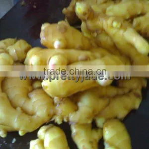 Fresh Yellow Ginger thumbnail-1