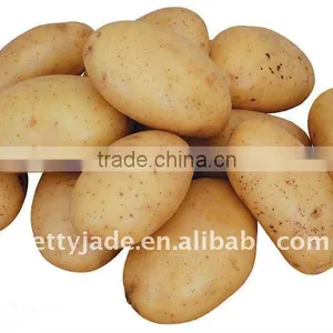 Specifications for Fresh Potatoes thumbnail-1