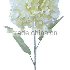 Christmas Flower Hydrangea, Christmas Flower thumbnail-1