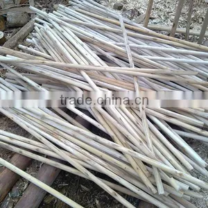 Vietnam Wood Log With Cheap Price thumbnail-2