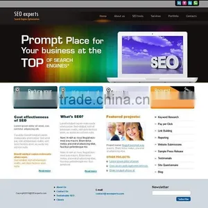 Search Engine Optimization thumbnail-5