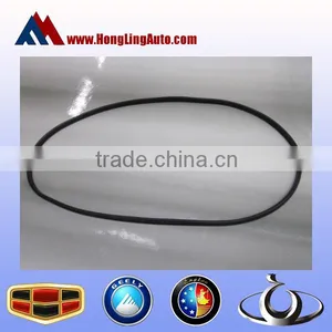 GEELY EMGRAND EC7 Right Front Door Frame Seal thumbnail-1