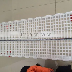 Plastic Slats Flooring for Poultry Farms, Poultry Farming Equipment (Professional Manufacturer) thumbnail-4
