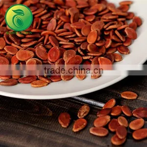 Black Seed Watermelon Buyers thumbnail-1