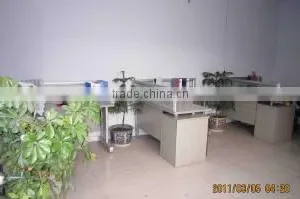 Hebei Saite Fastener Co., Ltd. company overview - view 2 thumbnail