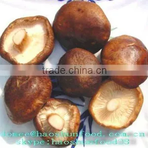 Canned Whole Shiitake Mushroom Nutritious Recipes thumbnail-1
