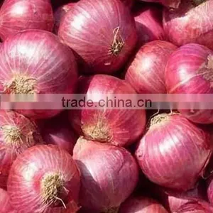 Hot Sale Fresh Red Onion With Good Quality for Sale thumbnail-5
